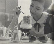 g141a.jpg(6446 byte)