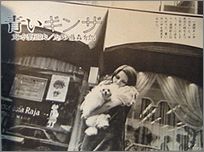 g175a.jpg(9977 byte)