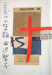 koko.jpg(11361 byte)