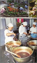 heya33a.jpg(15714 byte)