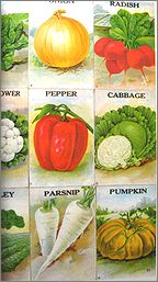 heya53c.jpg(14139 byte)