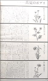 heya8b.jpg(12768 byte)