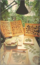 see2a.jpg(15653 byte)