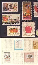 see6c.jpg(14955 byte)