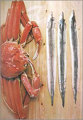 sakanakf3.jpg(12888 byte)