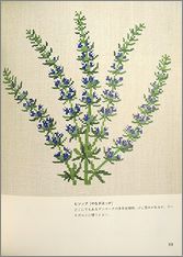 denx2.jpg(10661 byte)