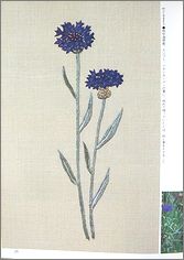 hs2ni2.jpg(8198 byte)