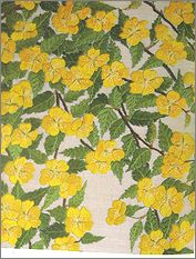 hs7o2.jpg(16929 byte)