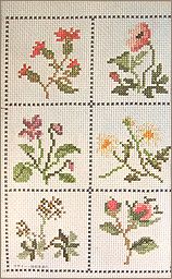 skxs2.jpg(18510 byte)