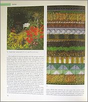 tew4.jpg(12414 byte)